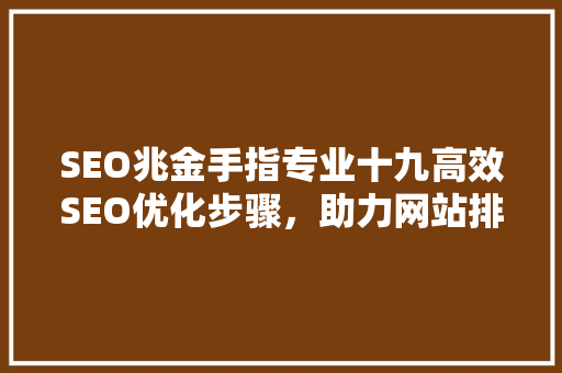 SEO兆金手指专业十九高效SEO优化步骤，助力网站排名攀升