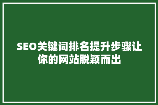 SEO关键词排名提升步骤让你的网站脱颖而出