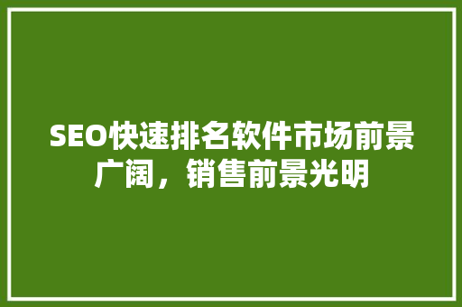 SEO快速排名软件市场前景广阔，销售前景光明