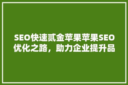 SEO快速贰金苹果苹果SEO优化之路，助力企业提升品牌影响力