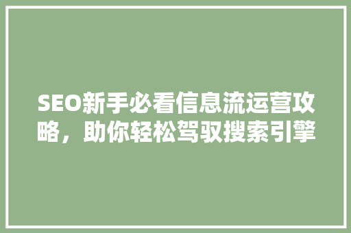 SEO新手必看信息流运营攻略，助你轻松驾驭搜索引擎