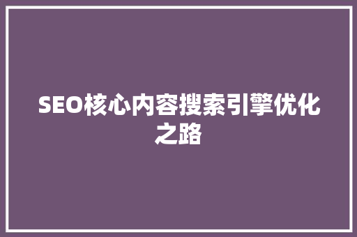 SEO核心内容搜索引擎优化之路  第1张
