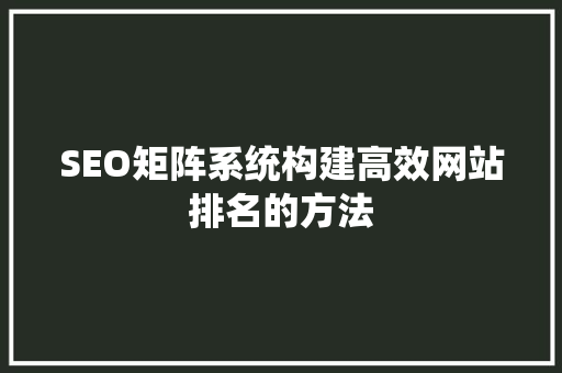 SEO矩阵系统构建高效网站排名的方法