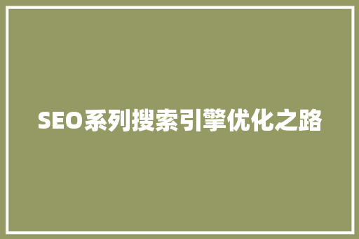 SEO系列搜索引擎优化之路