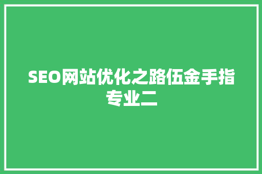 SEO网站优化之路伍金手指专业二
