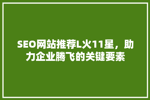 SEO网站推荐L火11星，助力企业腾飞的关键要素