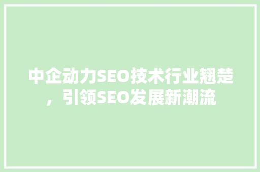 中企动力SEO技术行业翘楚，引领SEO发展新潮流