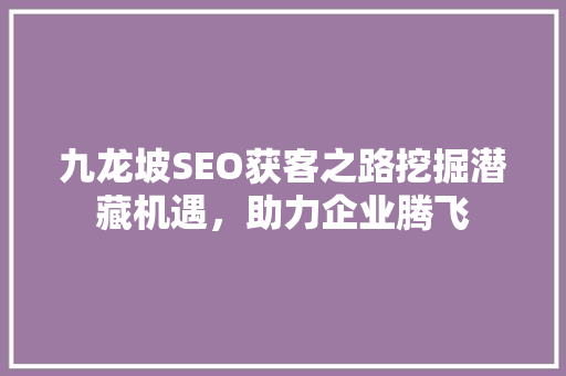 九龙坡SEO获客之路挖掘潜藏机遇，助力企业腾飞
