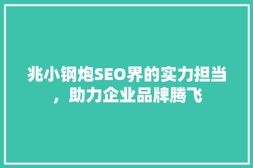 兆小钢炮SEO界的实力担当，助力企业品牌腾飞