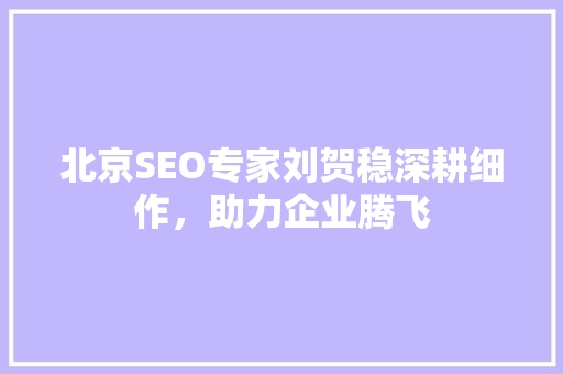 北京SEO专家刘贺稳深耕细作，助力企业腾飞