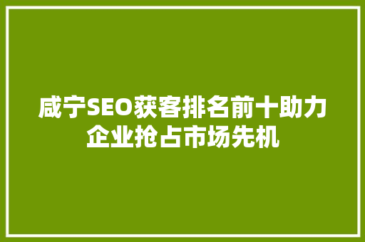 咸宁SEO获客排名前十助力企业抢占市场先机