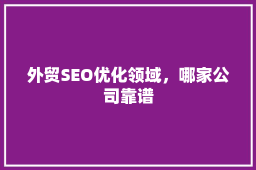 外贸SEO优化领域，哪家公司靠谱