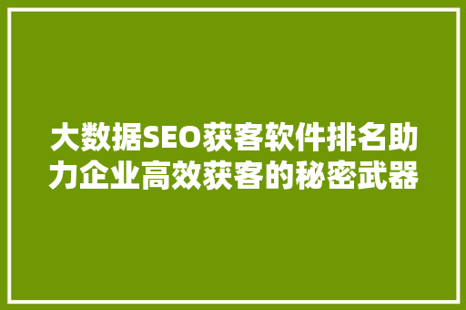 大数据SEO获客软件排名助力企业高效获客的秘密武器