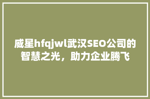 威星hfqjwl武汉SEO公司的智慧之光，助力企业腾飞
