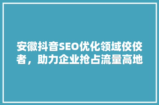 安徽抖音SEO优化领域佼佼者，助力企业抢占流量高地
