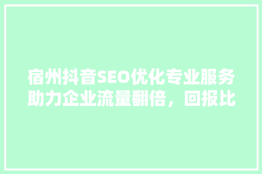 宿州抖音SEO优化专业服务助力企业流量翻倍，回报比高达多少