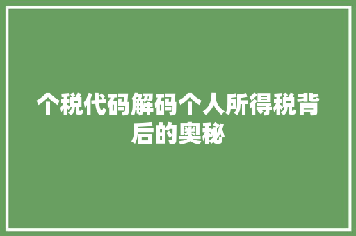个税代码解码个人所得税背后的奥秘