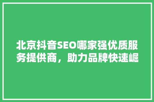 北京抖音SEO哪家强优质服务提供商，助力品牌快速崛起