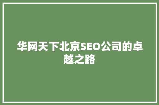 华网天下北京SEO公司的卓越之路