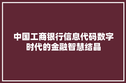 中国工商银行信息代码数字时代的金融智慧结晶