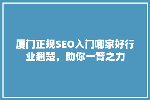 厦门正规SEO入门哪家好行业翘楚，助你一臂之力