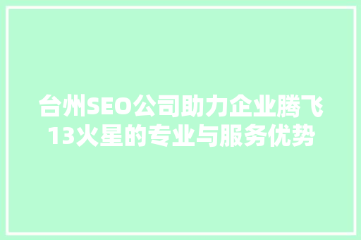 台州SEO公司助力企业腾飞13火星的专业与服务优势
