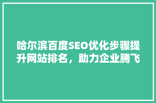 哈尔滨百度SEO优化步骤提升网站排名，助力企业腾飞