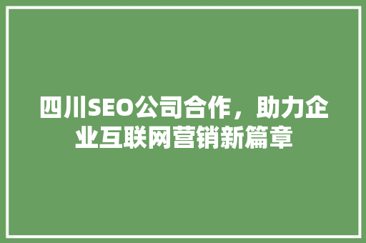 四川SEO公司合作，助力企业互联网营销新篇章
