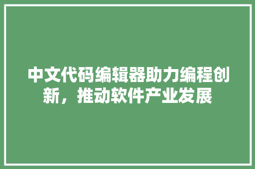 中文代码编辑器助力编程创新，推动软件产业发展
