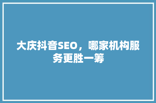 大庆抖音SEO，哪家机构服务更胜一筹