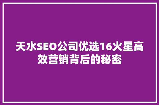 天水SEO公司优选16火星高效营销背后的秘密