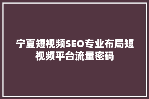 宁夏短视频SEO专业布局短视频平台流量密码