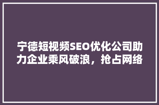 宁德短视频SEO优化公司助力企业乘风破浪，抢占网络营销新高地