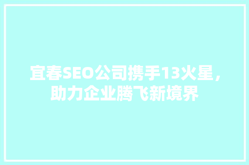 宜春SEO公司携手13火星，助力企业腾飞新境界