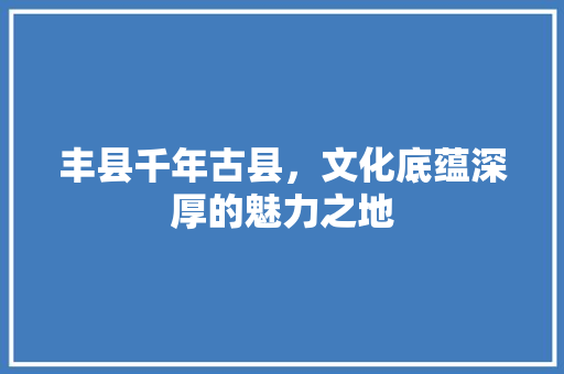 丰县千年古县，文化底蕴深厚的魅力之地
