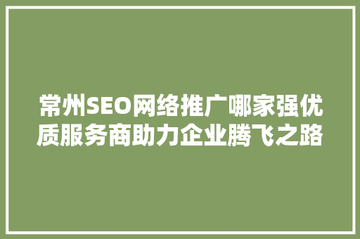 常州SEO网络推广哪家强优质服务商助力企业腾飞之路