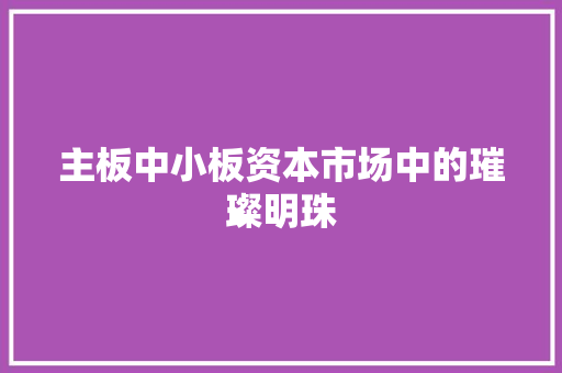 主板中小板资本市场中的璀璨明珠