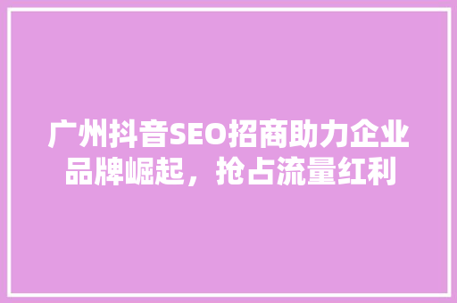 广州抖音SEO招商助力企业品牌崛起，抢占流量红利