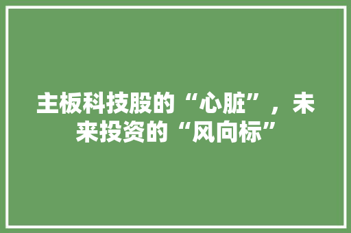 主板科技股的“心脏”，未来投资的“风向标”