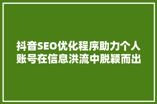 抖音SEO优化程序助力个人账号在信息洪流中脱颖而出