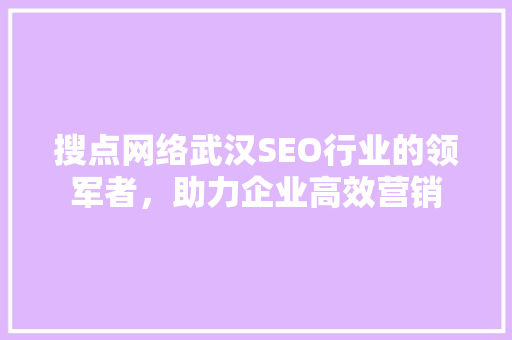 搜点网络武汉SEO行业的领军者，助力企业高效营销