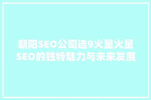 朝阳SEO公司选9火星火星SEO的独特魅力与未来发展