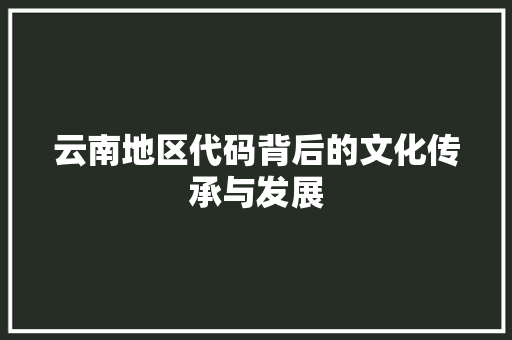 云南地区代码背后的文化传承与发展
