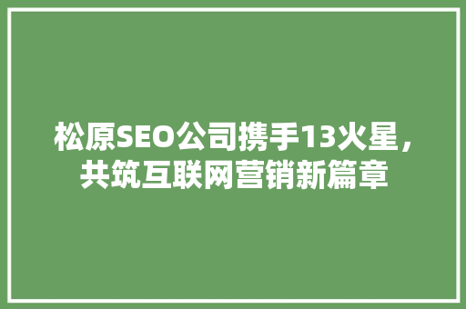 松原SEO公司携手13火星，共筑互联网营销新篇章