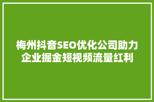 梅州抖音SEO优化公司助力企业掘金短视频流量红利