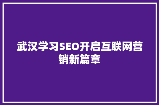武汉学习SEO开启互联网营销新篇章