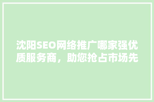 沈阳SEO网络推广哪家强优质服务商，助您抢占市场先机