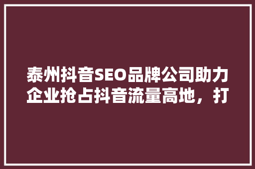 泰州抖音SEO品牌公司助力企业抢占抖音流量高地，打造短视频营销新格局