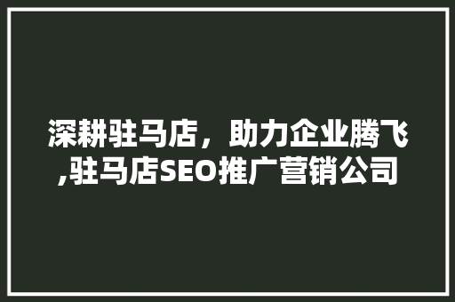 深耕驻马店，助力企业腾飞,驻马店SEO推广营销公司详细