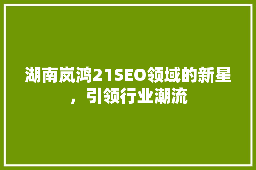 湖南岚鸿21SEO领域的新星，引领行业潮流